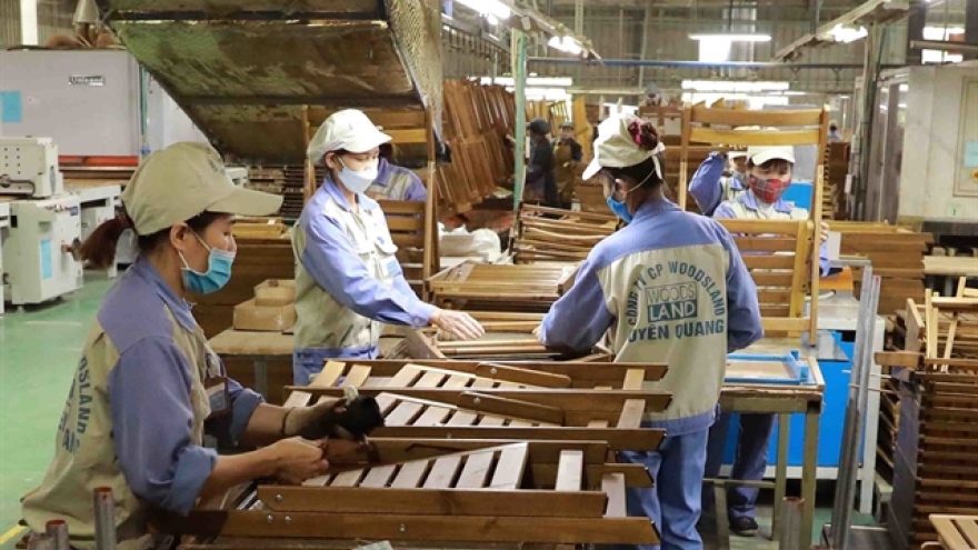 Timber exporters face a sharp decline in orders
